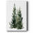 " Simple Evergreens I "-1480364603
