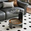 Dakiya Frame End Table