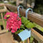 Andropolis Metal Railing Planter-389108486