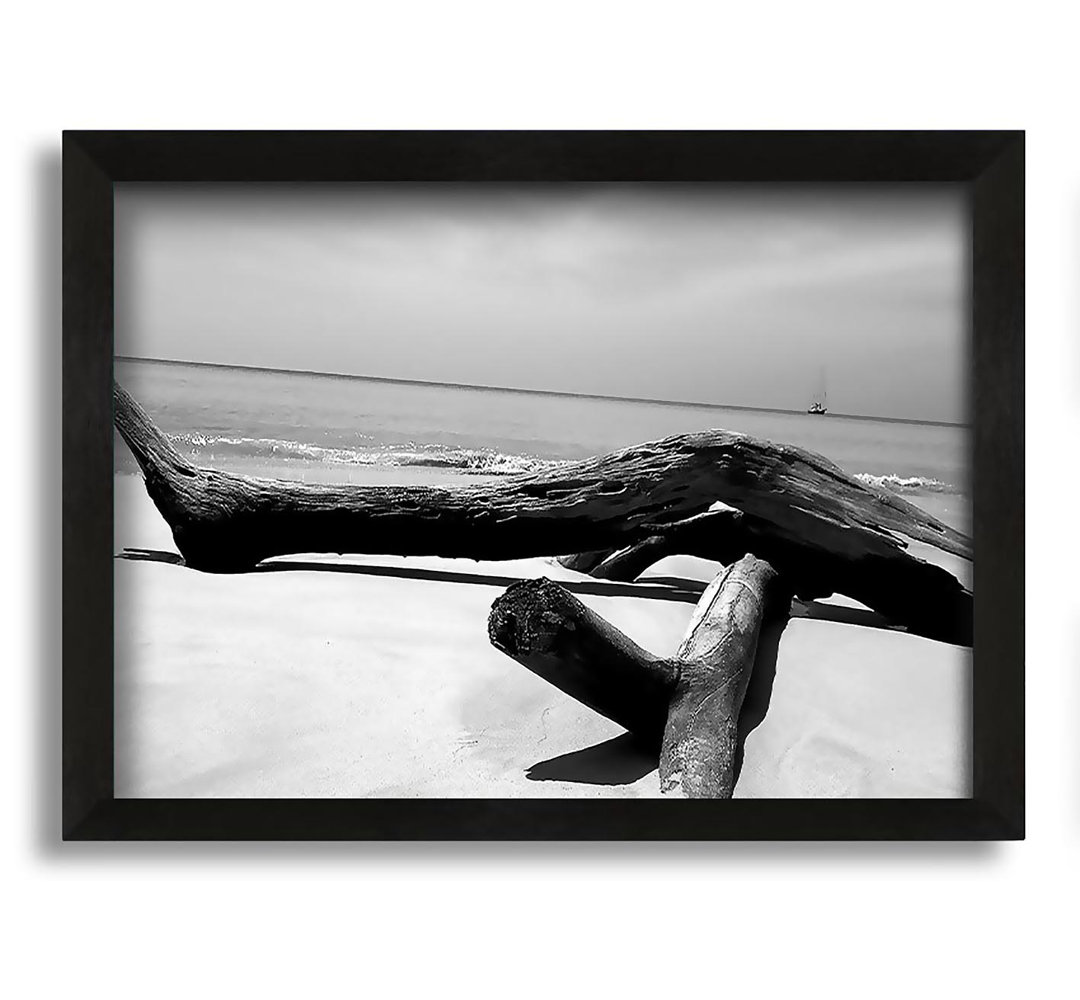 Gerahmtes Leinwandbild Ocean Drift Wood On The Shore B N W