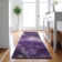 Premium Machine Washable Cerrito AMF522 Purple Rug