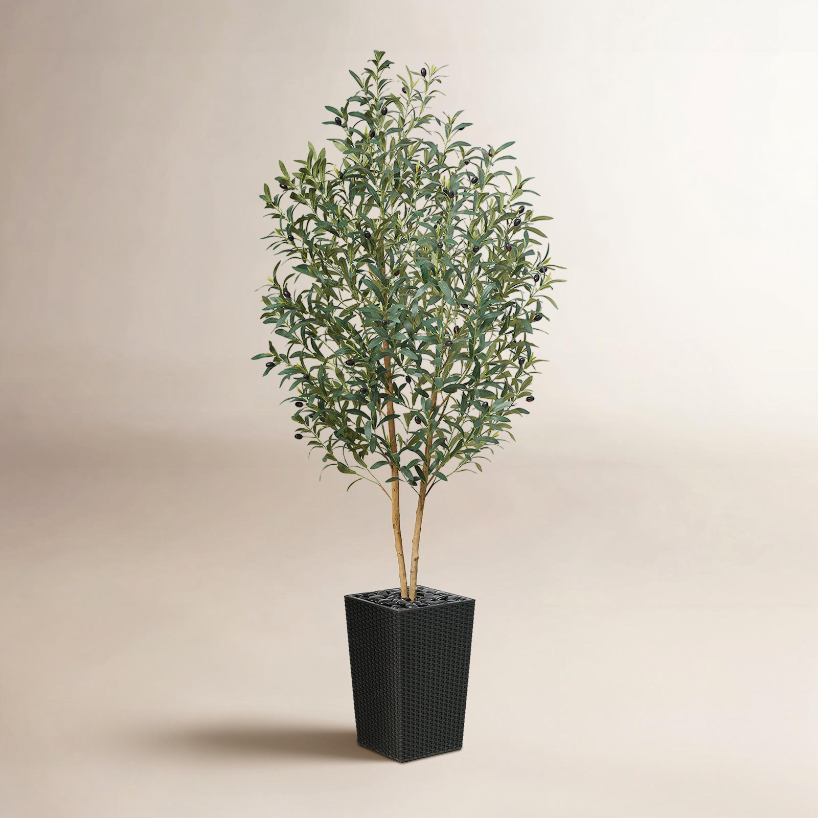 George Olive Tree in Decorative Vase, Black, 72" H x 24" W x 24" D