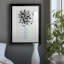 Bouquet de noir et blanc - Cadre photo, reproduction d'art sur papier-1768246561-1768246560