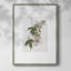 Tropical Botanical II, reproduction encadrée - bois massif 51189-1549362248