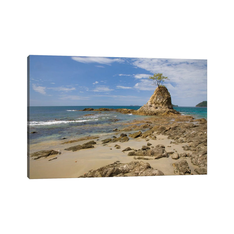 Point With Tree On Penca Beach, Costa Rica 1 Piece Wall Art on Canvas, 45.72cm H x 66.04cm W