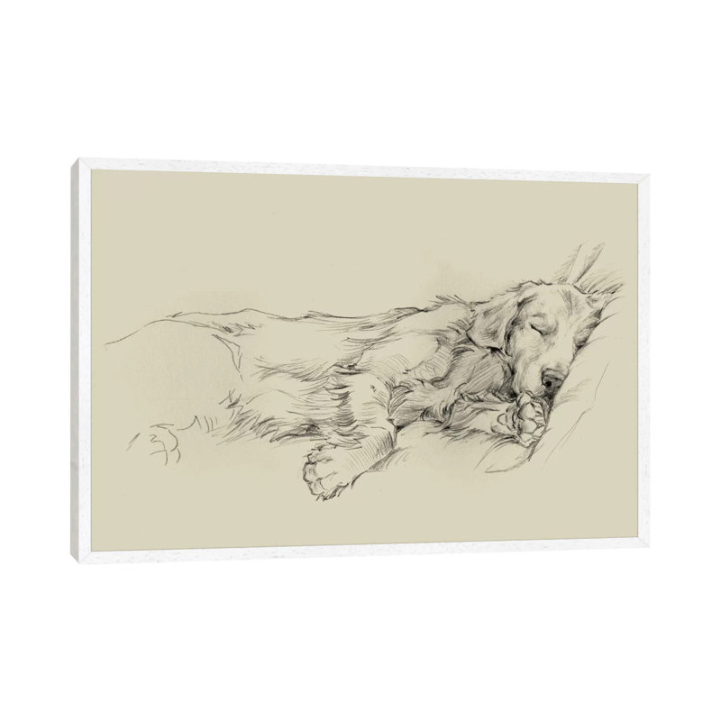 Dog Days III by Ethan Harper - Wrapped Canvas Print, 66.04 cm H x 45.72 cm W, White Framed