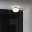 Zeppo 1 - Light Semi Flush Mount-67116365