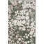 Tapis floral Yudiel Performance-559531500