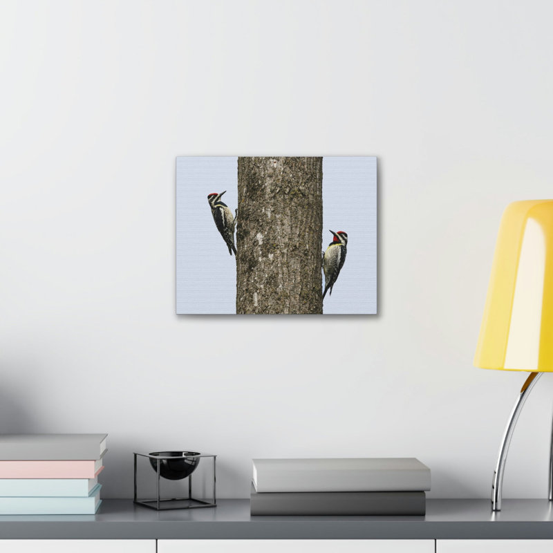 «Yellow Belly Sapsucker Couple», impression d'art mural, H 12 po x l 18 po