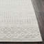 Narine Machine Woven Grey/White Indoor Rug-1484723509