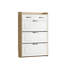 Shoe Storage-1057973149