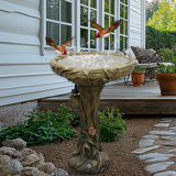 Where to Buy Concrete Bird Baths: Top Trusted Stores Revealed