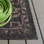 Tapis oriental d'intérieur / extérieur Anelly Performance-2089278033