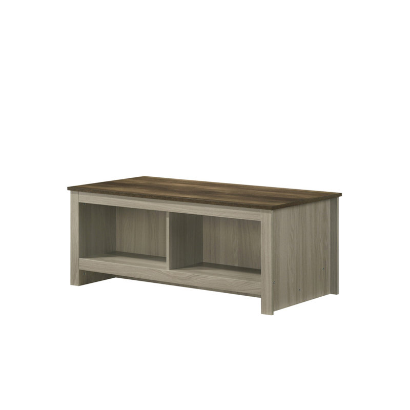 Nilda 43"W Gray Oak Coffee Table With Open Shelves Front And Back