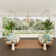 Nourison Essentials Rust Area Rug