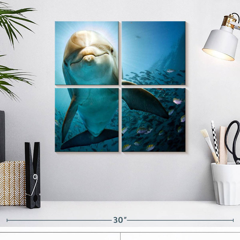 Brampt Curious Dolphin, 18'' H x 18'' W