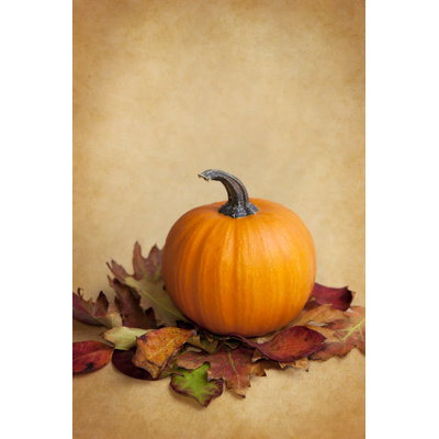 Pumpkin And Autumn Leaves by Creativeye99 - No Frame Art Prints on Canvas