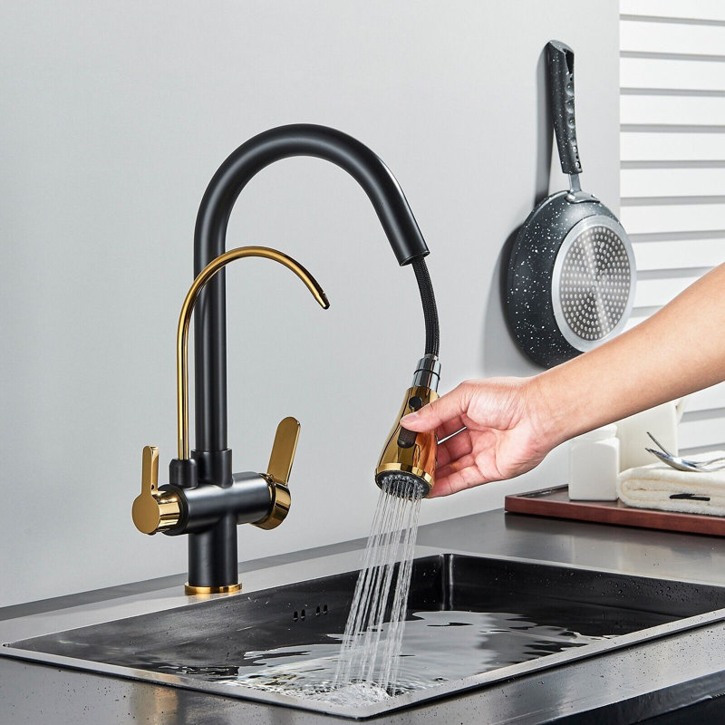 Belfry Kitchen Creger Pull Out Kitchen Faucet