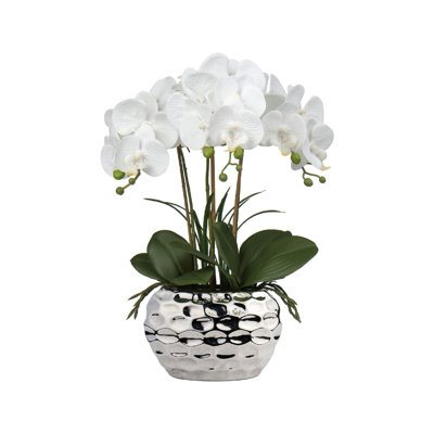 Arrangement