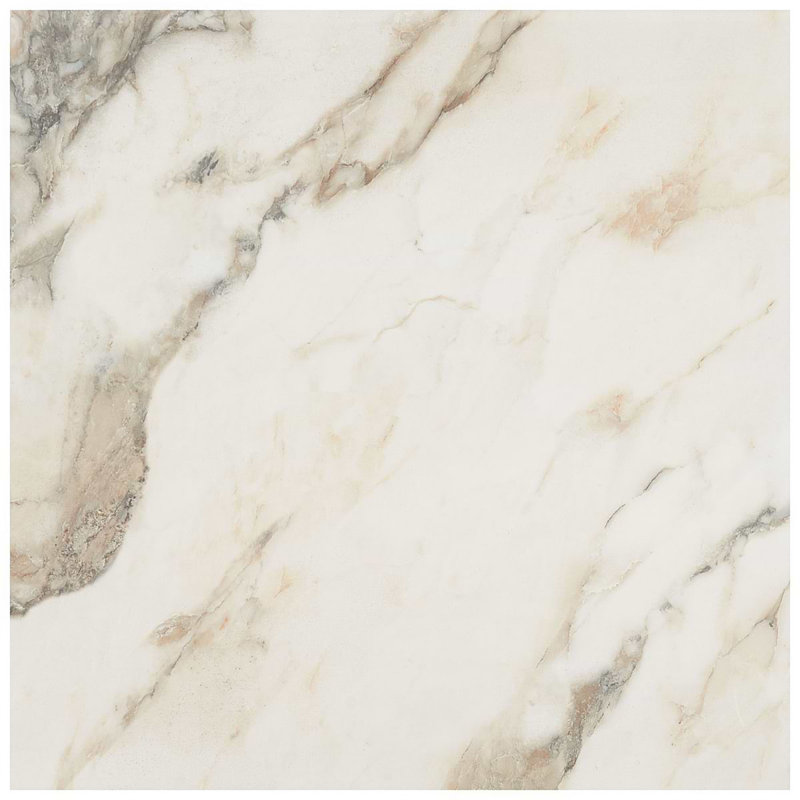 Dreamstone 24X24 Polished Porcelain Tile, Calacatta Rustico Polished