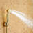 Fontana Denver Wall Mount Gold Finish Rainfall Shower Set (FS9713)
