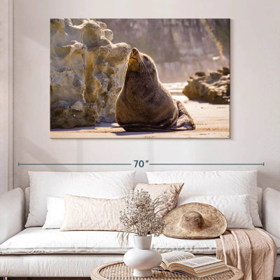 Sunbathing Seal