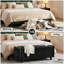 Banc de rangement capitonné 46,5 po Modern-1658481950