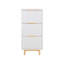 12 Pair Shoe Storage Cabinet
