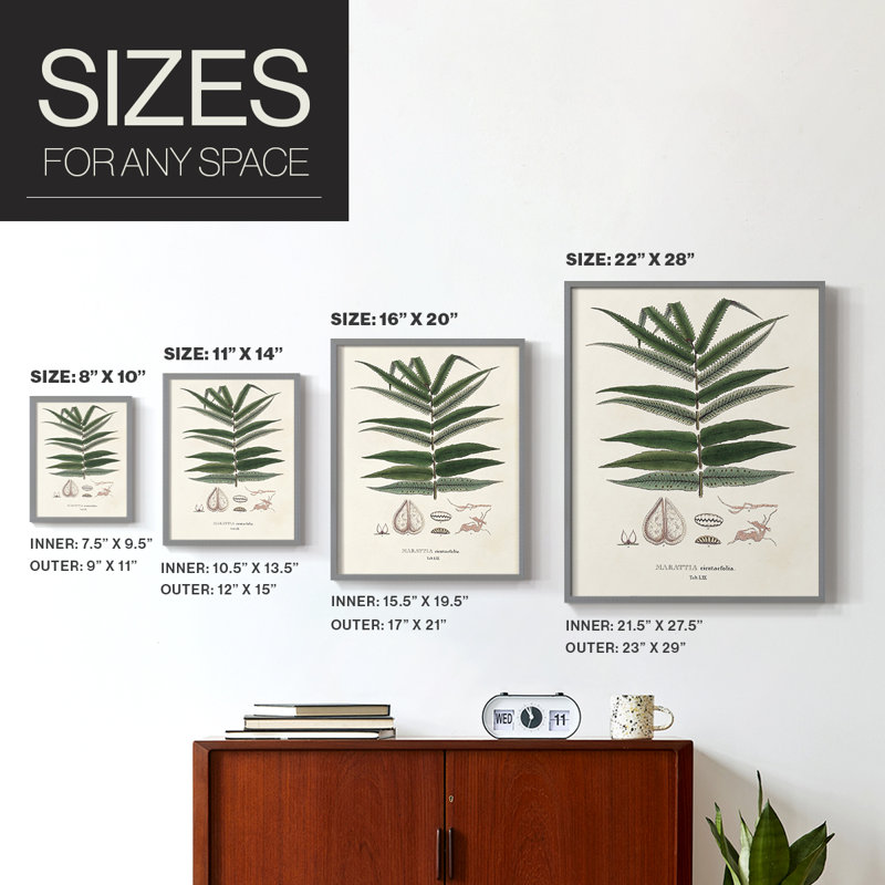 Botanical Society, impression encadrée de fougères - bois massif, Gris, H 10 po x l 8 po