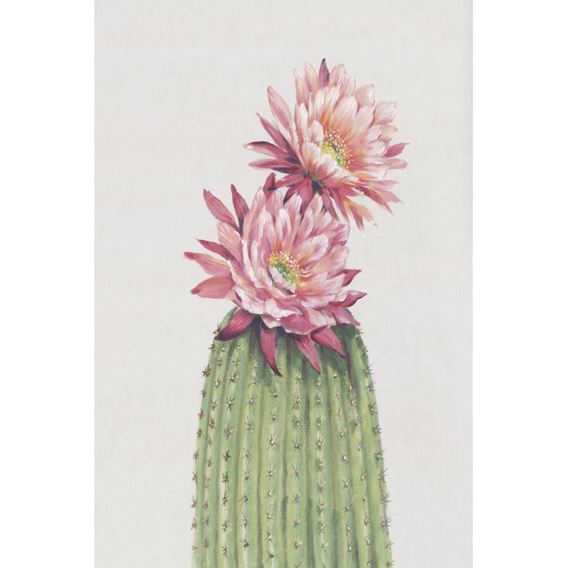 «Layci Cactus Blossom II on Canvas» par Tim Ottoole, reproduction, H 30 po x l 20 po