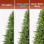 Arbres de noël