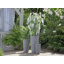 Giselle Pot Planter-37900271-37900270
