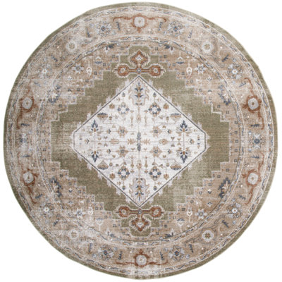 Millyr Washable Oriental Rug