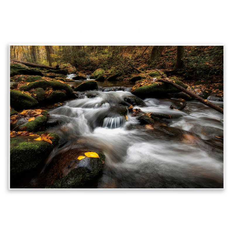 Plaque murale Fallen Leaves on Stream, design par D. Burt, H 13 po x l 19 po