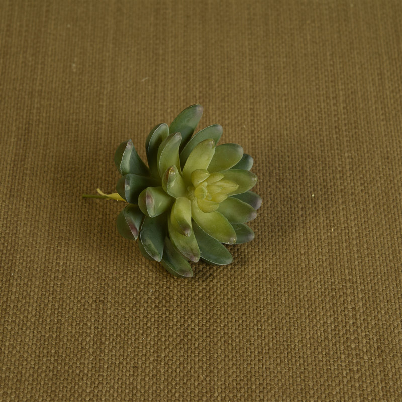 Fausse plante grasse