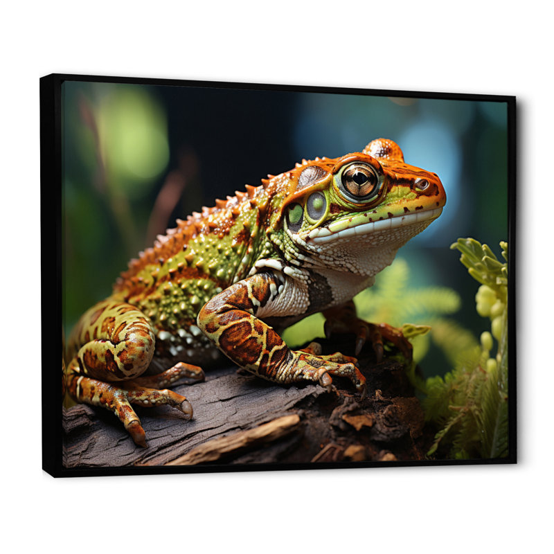 Portrait de grenouille II - impression, H 24 po x l 32 po x P 1 po, Cadre flottant noir