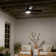 52'' Ceiling Fan with LED Lights