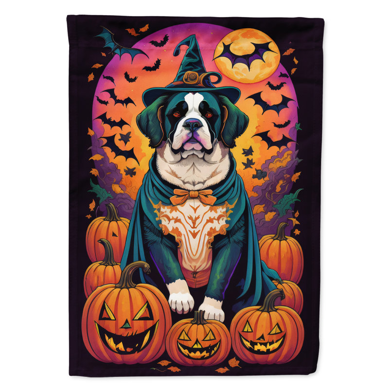 Jakameron Double Sided Polyester Halloween Garden Flag, 15.5" x 11.25"