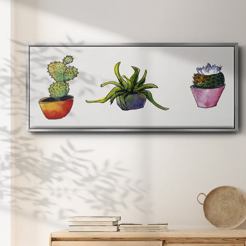 Vibrant Succulents I - Toile encadrée, H 8 po x l 20 po