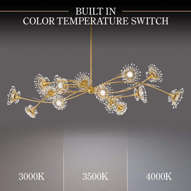 Coquette 14 Light Crystal LED Linear Pendant, Heirloom Gold