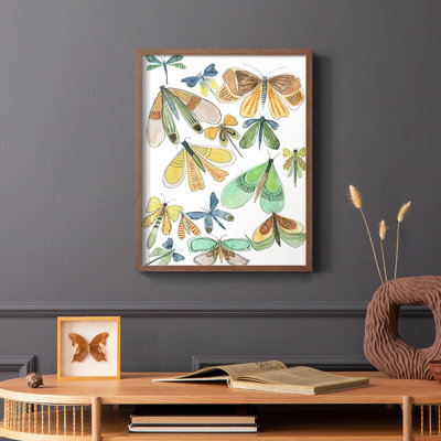 Wings Galore II Framed Print - Solid Wood