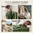 Cotton Blanket-114866172-114866175