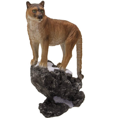 Cougar Postville