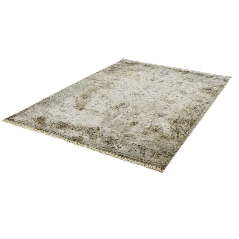 Otis Oriental Area Rug, Rectangular 120 x 170cm