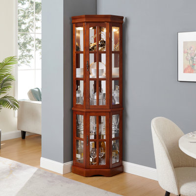 Corner Curio Cabinet With 5 Shelves And Lighting System by Red Barrel Studio
