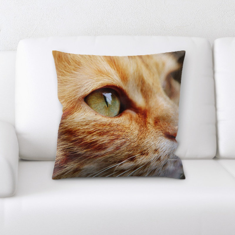 Coussin pour chat