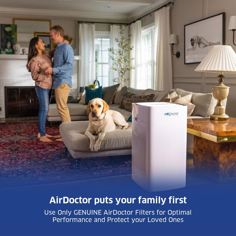 UltraHEPA White Pleated Air Purifier Filter 2-Pack