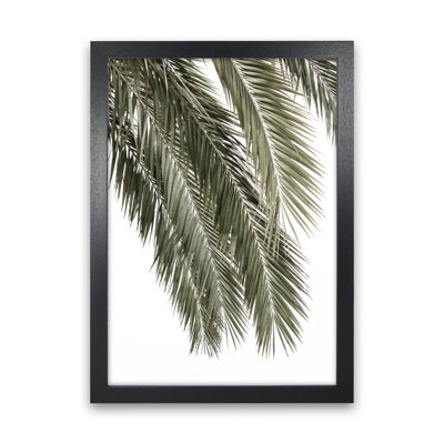 Palms by Victoria Frost - Print