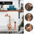 Nauxus Kitchen Faucet with Side Spray