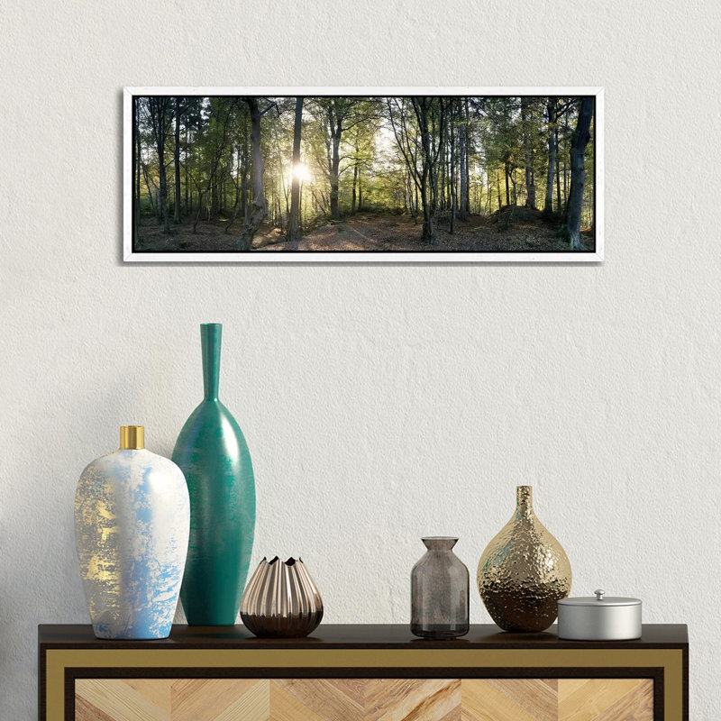 Trees In A ForestBlack Forest, Freiburg Im Breisgau, Baden-Wurttemberg, Germany by Panoramic Images - Panoramic Gallery-Wrapped Canvas Giclée on Canvas